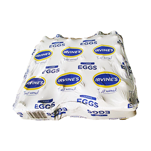 Image Alternative text