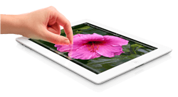 Image Alternative text