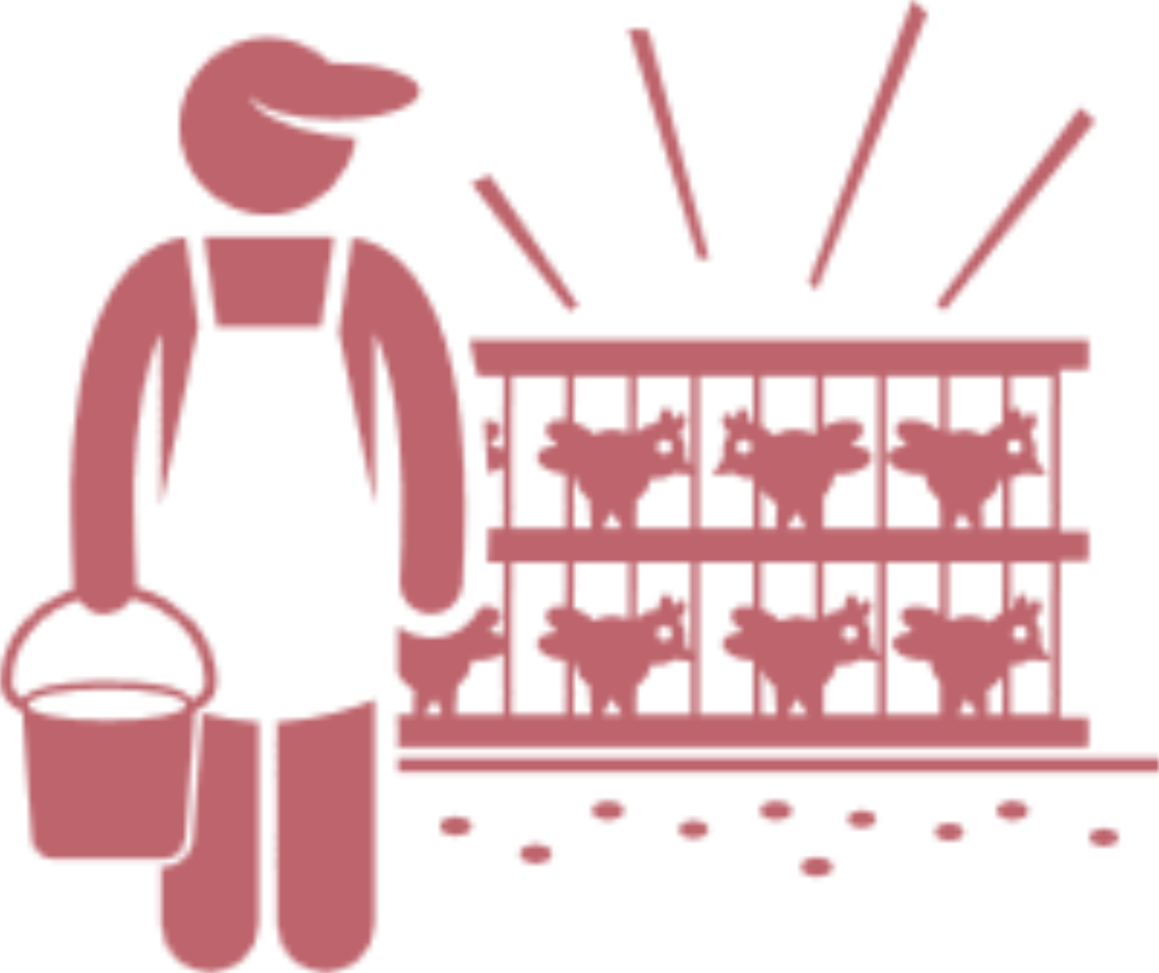 Image Alternative text